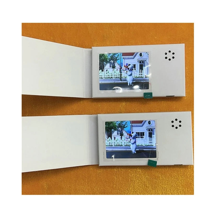 1**Mini Display Video Card